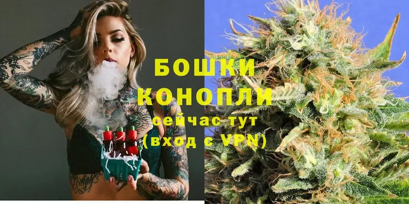 где купить наркоту  kraken зеркало  МАРИХУАНА OG Kush  Беслан 